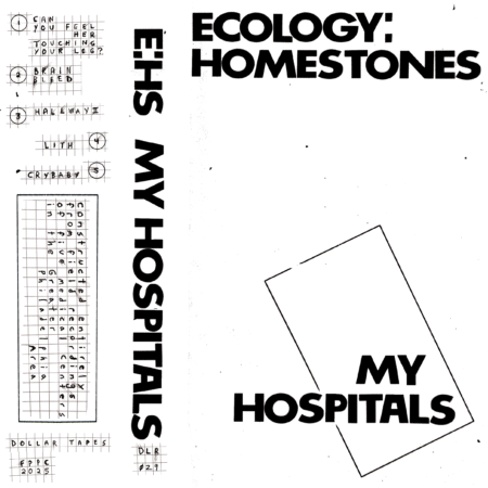 Ecology: HomeStones - My Hospitals (DLR-029)