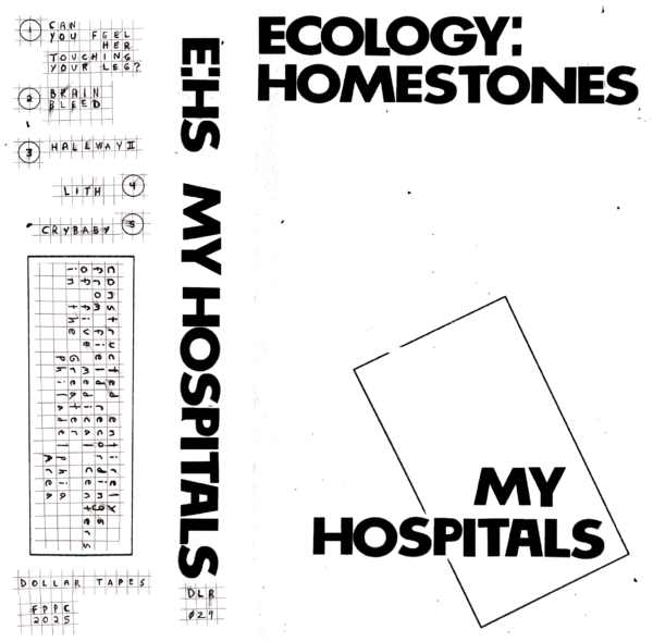 Ecology: HomeStones - My Hospitals (DLR-029)